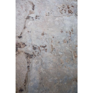 Каменный шпон Autumn Cream 3000*1200, серия Сл